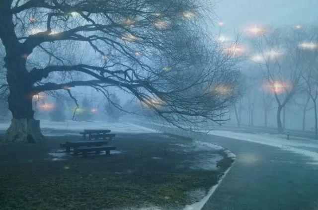 诗词日历|花非花,雾非雾