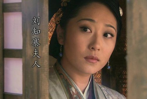 刘夫人剧照