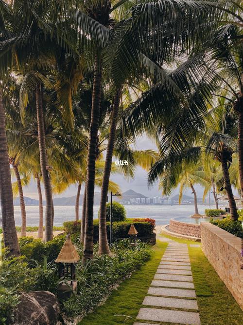 三亚原生态酒店_酒店_文华东方怎么样_餐厅_西餐_餐桌