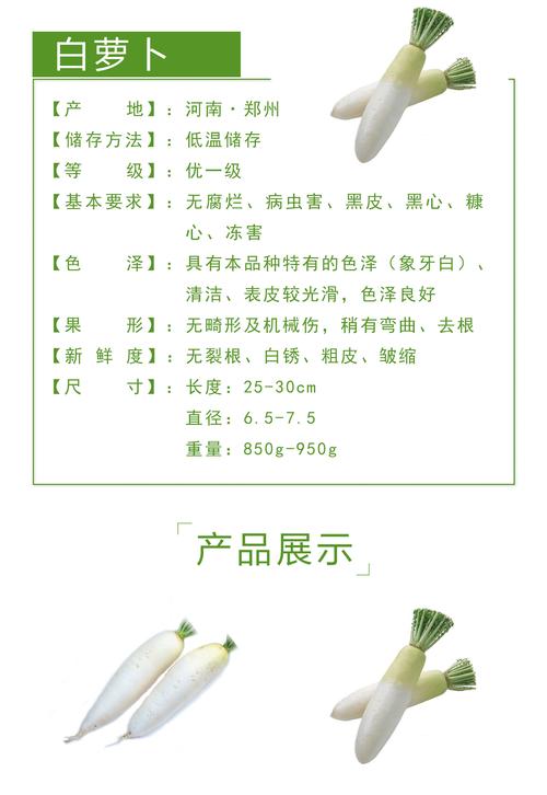 象牙白萝卜_根茎茄果豆类_蔬菜豆菇_找菜网一站式生鲜