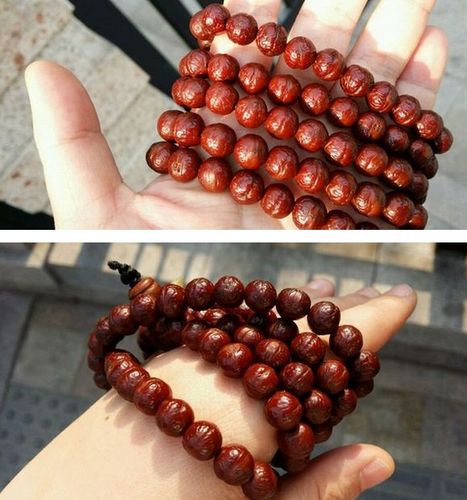 凤眼菩提的盘玩方法及心得体会