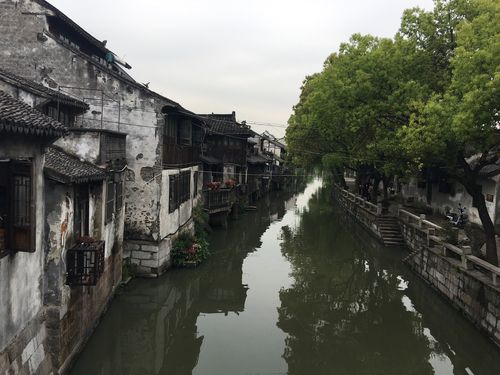 上海金山枫泾古镇和廊下山塘村一日游
