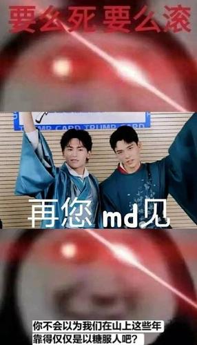 浪浪钉实用搞笑表情包