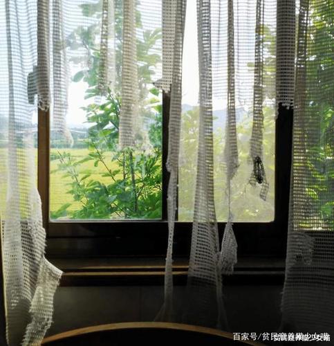 省钱了,猫咪亲手做的星空窗帘,铲屎官不知该哭该笑