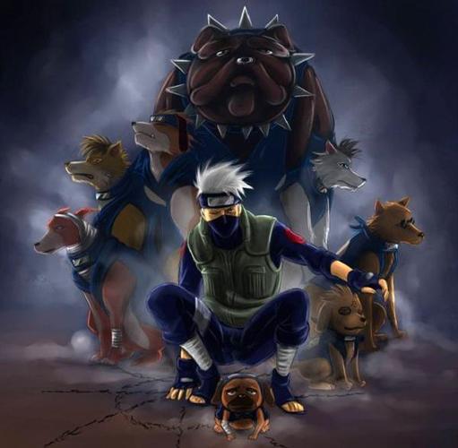 火影忍者:忍犬是忍者的好伙伴,卡卡西的八忍犬全是名犬