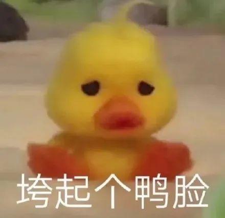 微信可爱聊天表情包一不做二不休