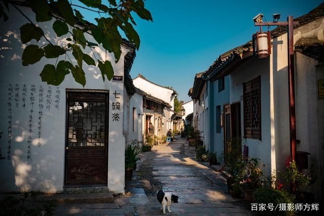 宜兴蜀山古南街——深秋探幽