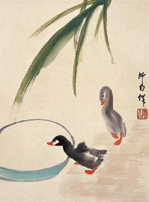 娄师白 | 画只萌萌的小鸭子