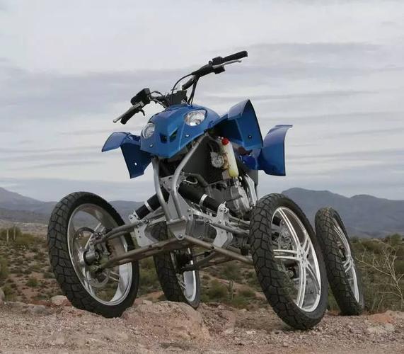 这才是真正的全地形越野车,你那顶多算个代步