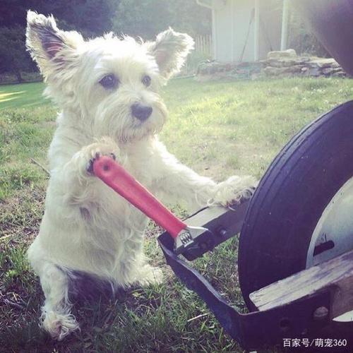 你不可错过的凯恩梗攻略
