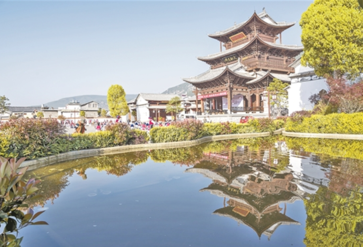 剑川小城黄花报春来