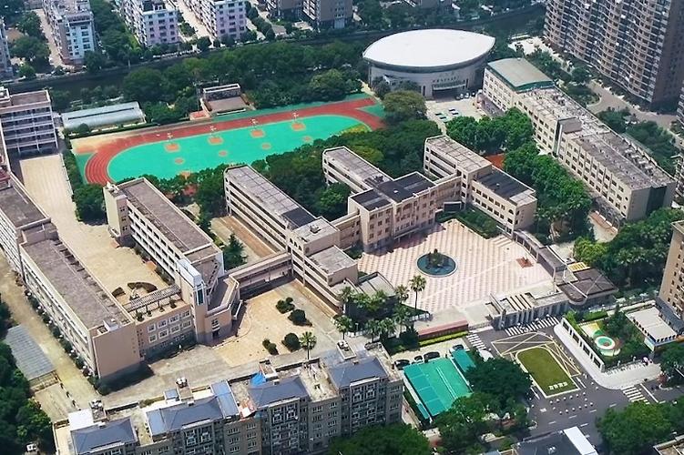 瑞安市安阳实验小学宣传片尊重教育儿童世界