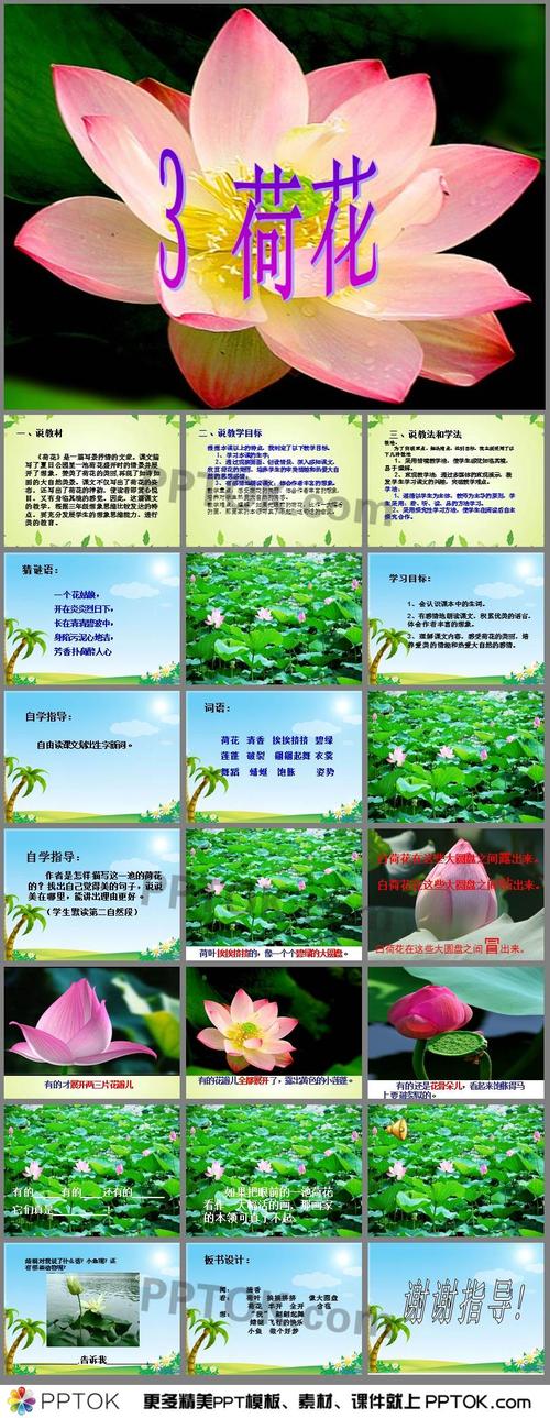 语文ppt课件 小学语文课件ppt 部编版三年级语文上册ppt课件 → 荷花