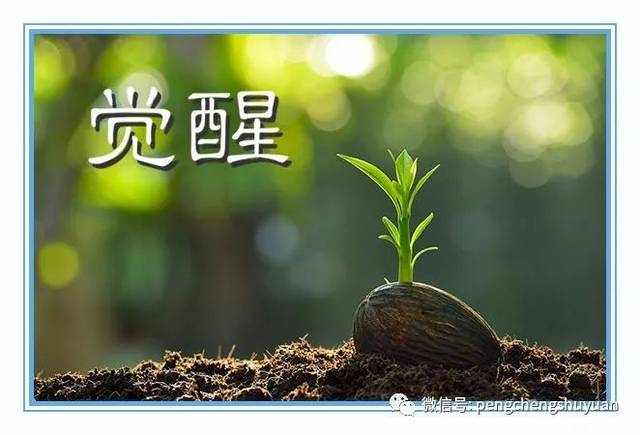 一位生命觉醒者的心灵独白