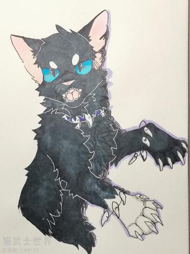 枝条    就是用来堆堆我画的"猫武士人物",不带oc,可点图,主要就是