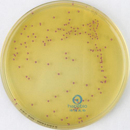 肠球菌显色平板9cm