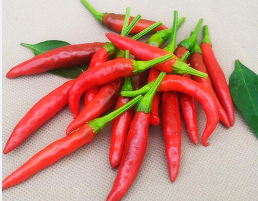 2020-10年/月最新小米椒价格行情走势图