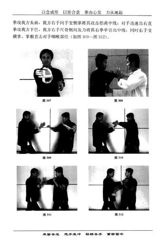 《咏春拳·小念头心法》