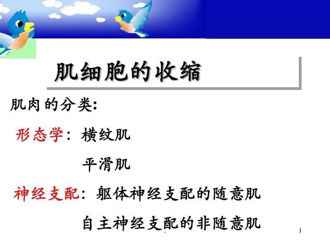 (医学课件)肌肉收缩ppt演示课件