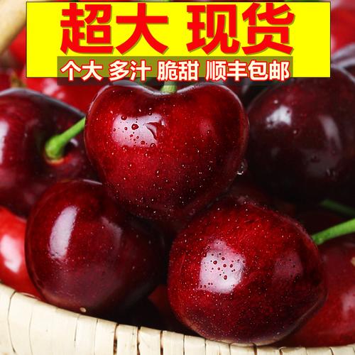 已下市 威海钟家沟大樱桃秒烟台大樱桃 美早 5斤 ems