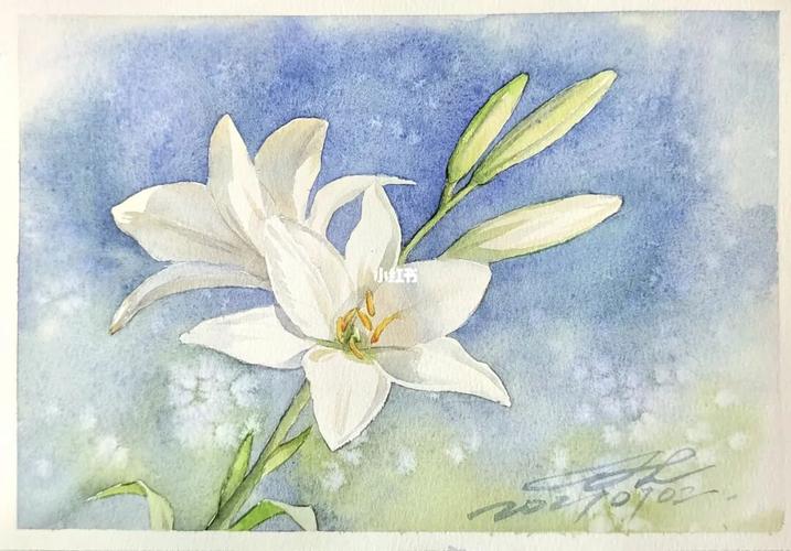 水彩百合花_水彩画_百合花_水彩_文化_绘画