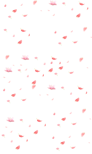 古风花朵免抠,png素材,复古,梅花,花瓣雨,玫瑰,图网侵删