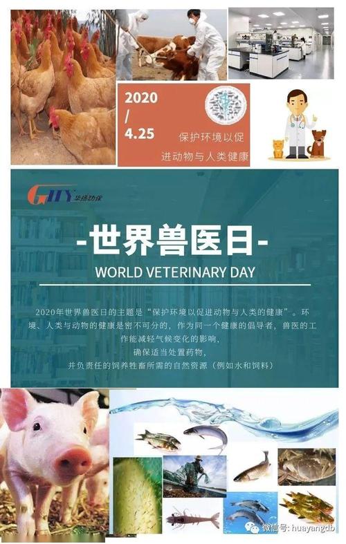 世界兽医日——向自己致敬