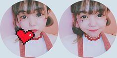 封茗囧菌
