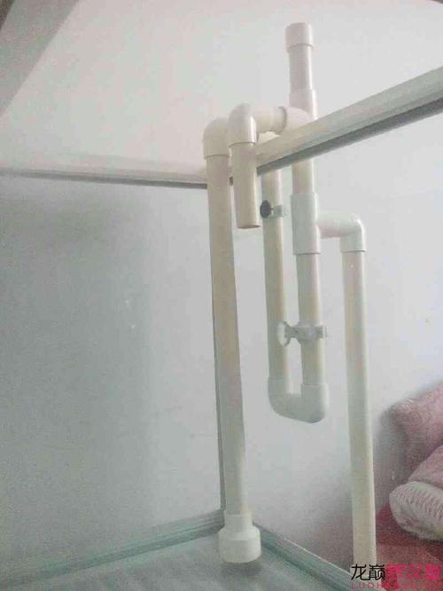 成品缸不打孔虹吸底滤,要求加精!图片加视频.