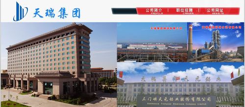 天瑞集团