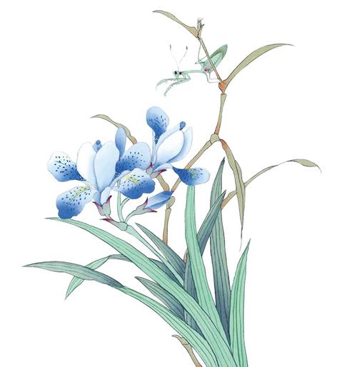 兰花工笔画psd免费素材