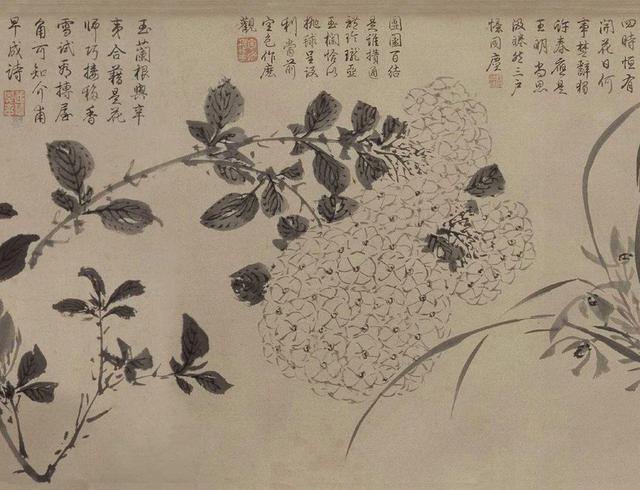 看明代画家周之冕《百花图卷》,感悟春天的气息