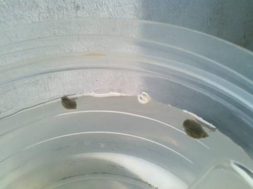 问题补充: 我来帮他解答 满意回答  2013-02-23 18:42 这个是囊螺属