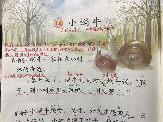 一年语文《小蜗牛》,资深教师:学习这一课,掌握两点很重要!