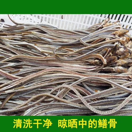 3斤包邮新鲜黄鳝骨长鱼骨鳝鱼骨头现拉骨头白骨头无盐