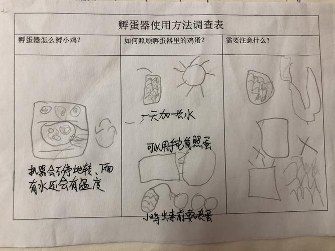 终于等到你——葛村新苑幼儿园小鸡孵化记