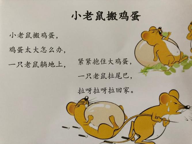 集体活动 童谣《小老鼠搬鸡蛋》 蒙氏工作: 中组:中组的小朋友本周