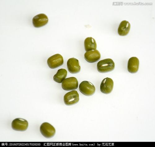 [正版商业] 绿豆