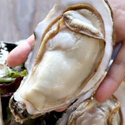 京东plus会员:乳山生蚝 海蛎子 鲜活牡蛎 5斤整箱装 xxl号 17.