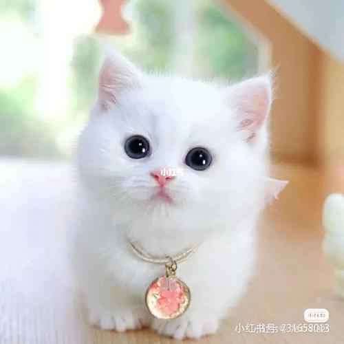 发布于 2021-07-10 16:33