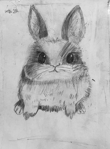 张大学设计素描课程的习作,实训要求其实是根据实物原型采用重构,透叠