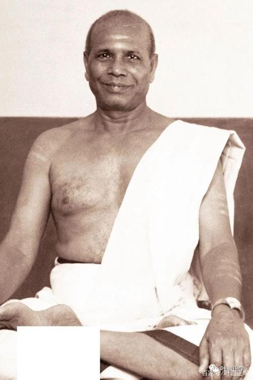 帕塔比·乔伊斯(pattabhi jois)