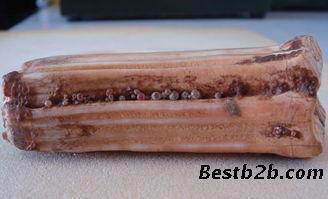 舍利子在线鉴定