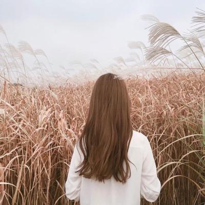 小清新背影头像.