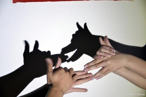 追着自己的影子奔跑