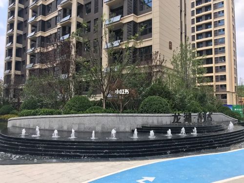 龙湖春江彼岸交付,小区实景怎么样?