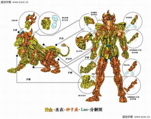 黄金圣衣分解图彩色版