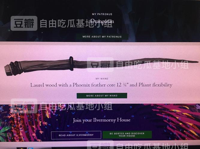 月桂木,凤凰羽毛芯,长12英寸,有弹性