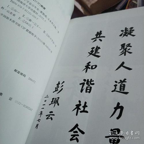 山东红十字会百年史
