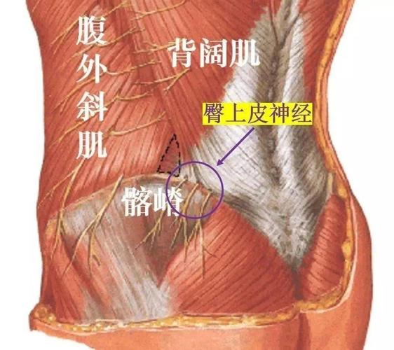 腰肌筋膜炎是个什么东西